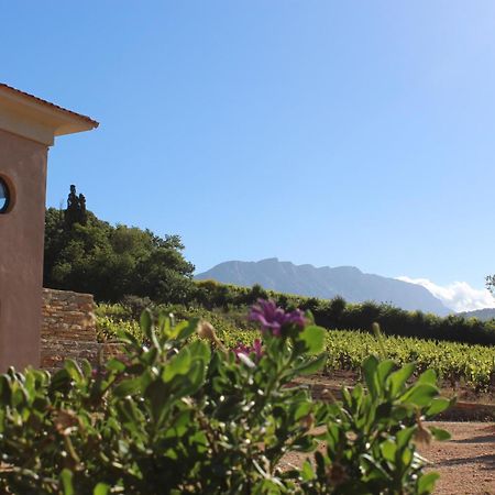La Bastide - Le Grenache - Le Syrah Au Domaine Chateau Henri Bonnaud ル・トロネ エクステリア 写真