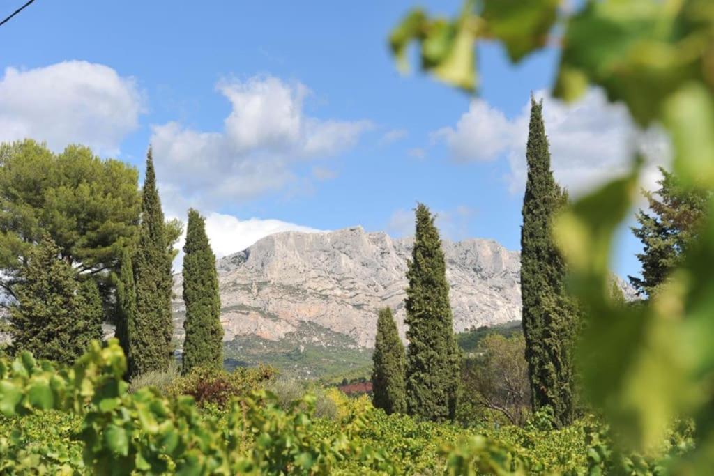 La Bastide - Le Grenache - Le Syrah Au Domaine Chateau Henri Bonnaud ル・トロネ エクステリア 写真