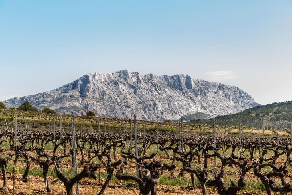 La Bastide - Le Grenache - Le Syrah Au Domaine Chateau Henri Bonnaud ル・トロネ エクステリア 写真