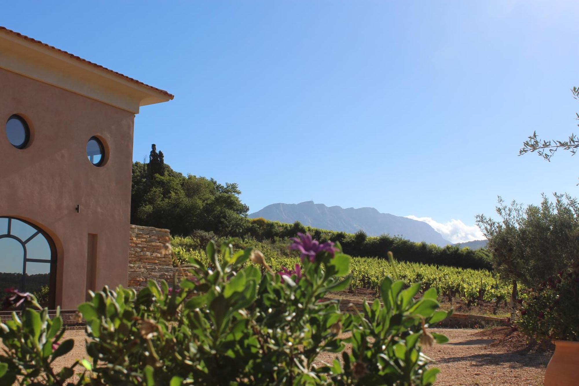 La Bastide - Le Grenache - Le Syrah Au Domaine Chateau Henri Bonnaud ル・トロネ エクステリア 写真