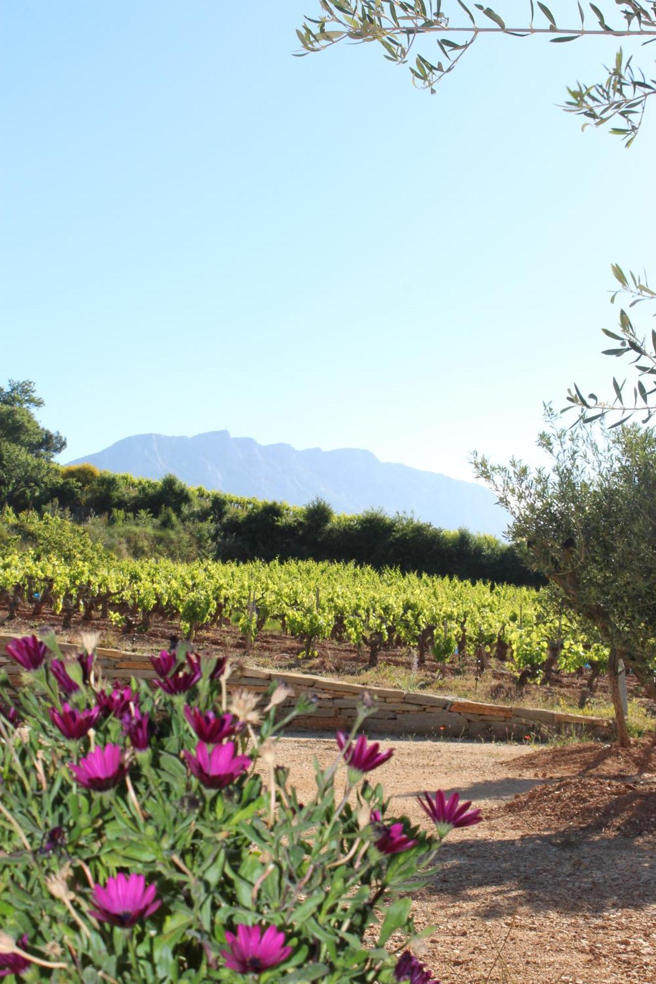La Bastide - Le Grenache - Le Syrah Au Domaine Chateau Henri Bonnaud ル・トロネ エクステリア 写真