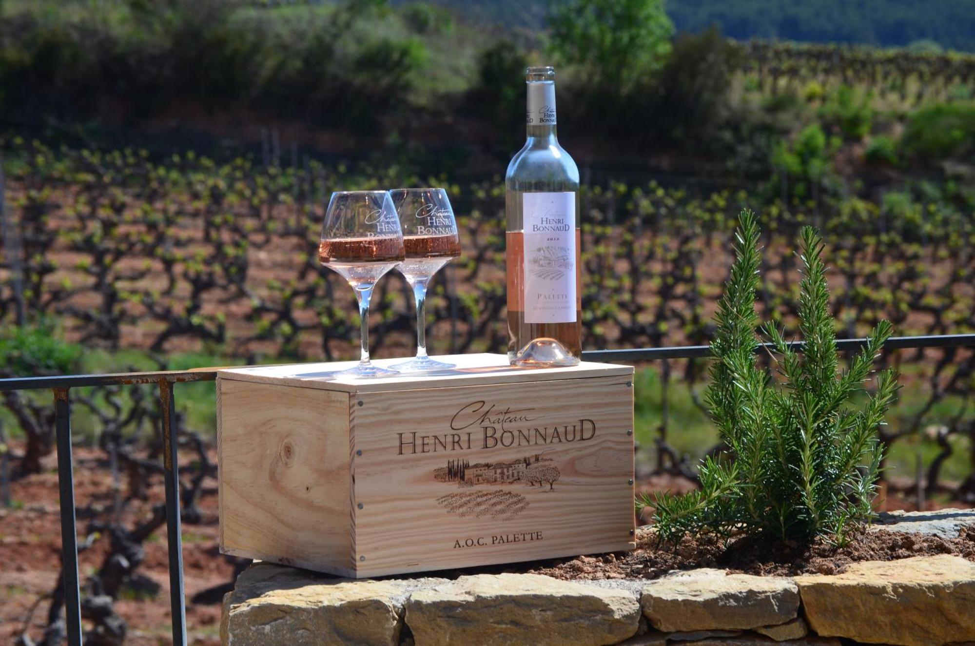 La Bastide - Le Grenache - Le Syrah Au Domaine Chateau Henri Bonnaud ル・トロネ エクステリア 写真