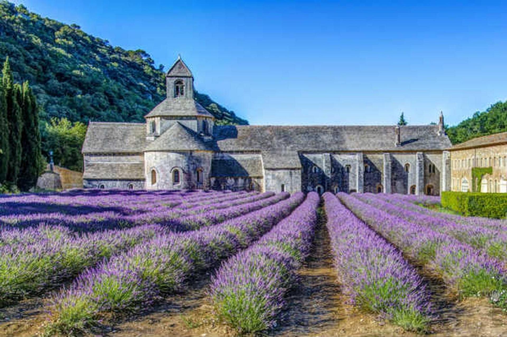 La Bastide - Le Grenache - Le Syrah Au Domaine Chateau Henri Bonnaud ル・トロネ エクステリア 写真